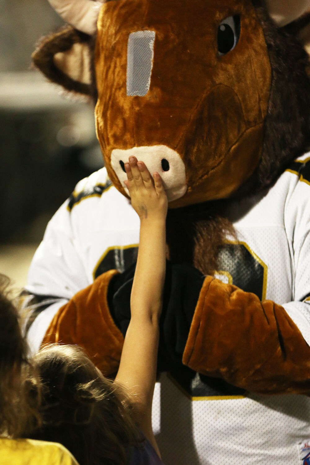 Violet Ramirez, 4, reaches up to touch the nose of Bruiser